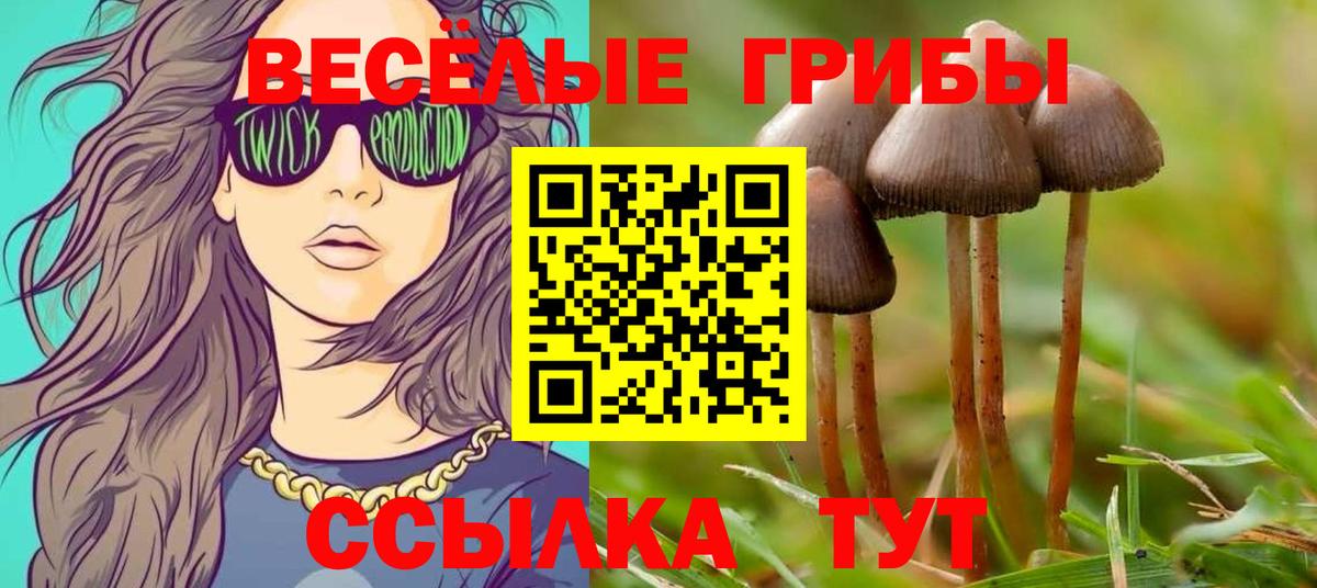 Галлюциногенные грибы Magic Shrooms Иркутск